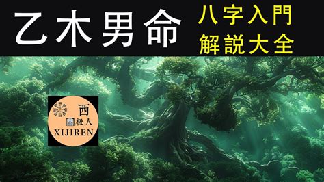 乙木八字|八十天干詳解——乙木